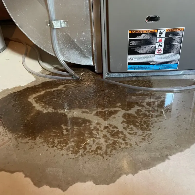 Pipe Burst and Leak Restoration in Glenmoor, OH