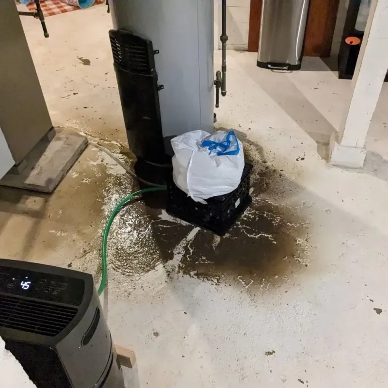 Sewage Backup Cleanup Service in Glenmoor, OH